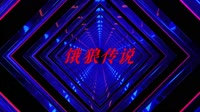 友哥 - 饿狼传说(Dj阿帆 Electro Mix粤语男)